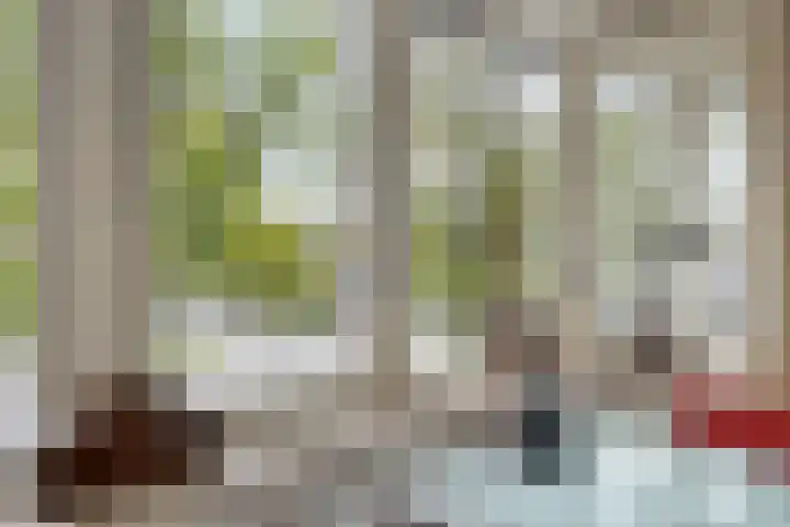 Oostsingel 2 05 Goes thumbnail 16