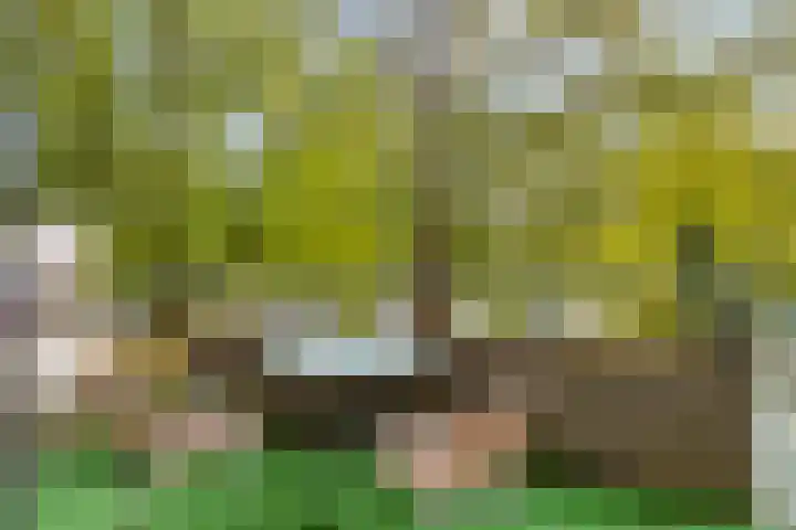 Oostsingel 2 05 Goes thumbnail 19