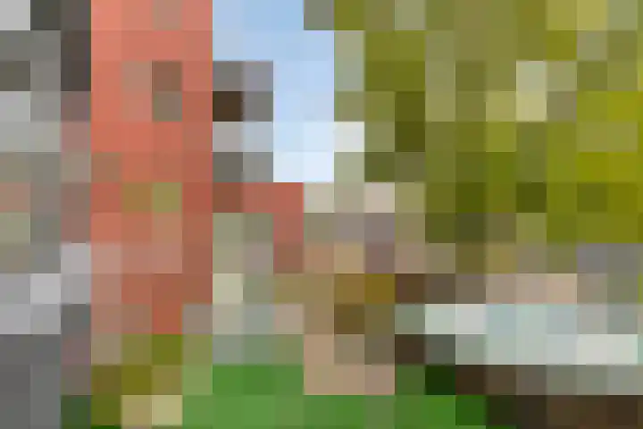 Oostsingel 2 05 Goes thumbnail 20