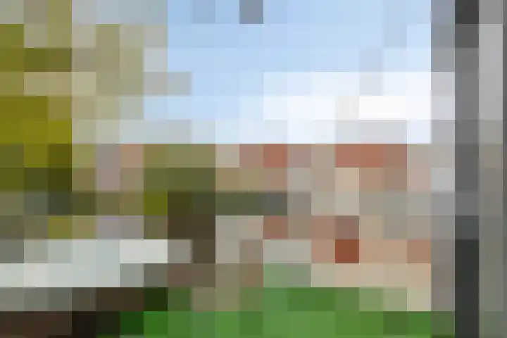 Oostsingel 2 05 Goes thumbnail 21