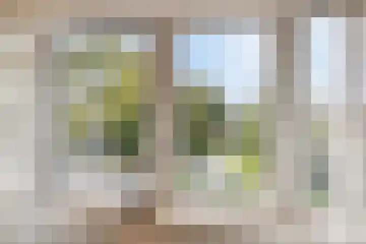 Oostsingel 2 05 Goes thumbnail 25