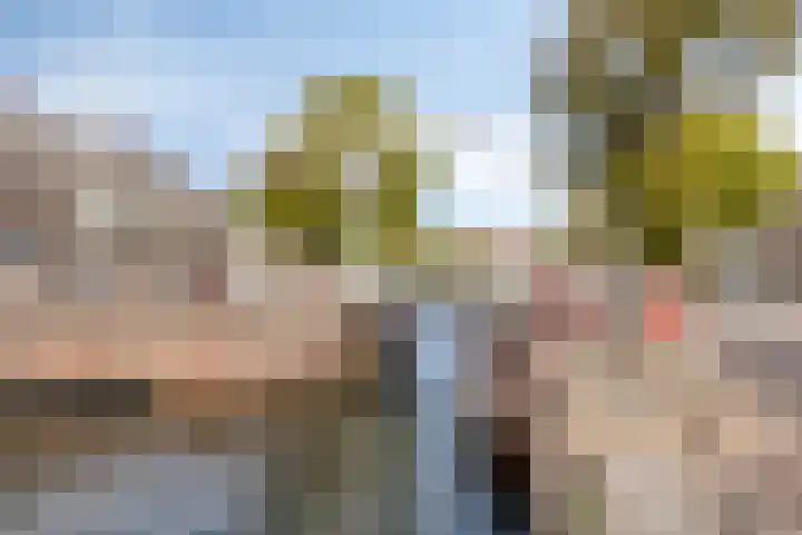 Oostsingel 2 05 Goes thumbnail 34