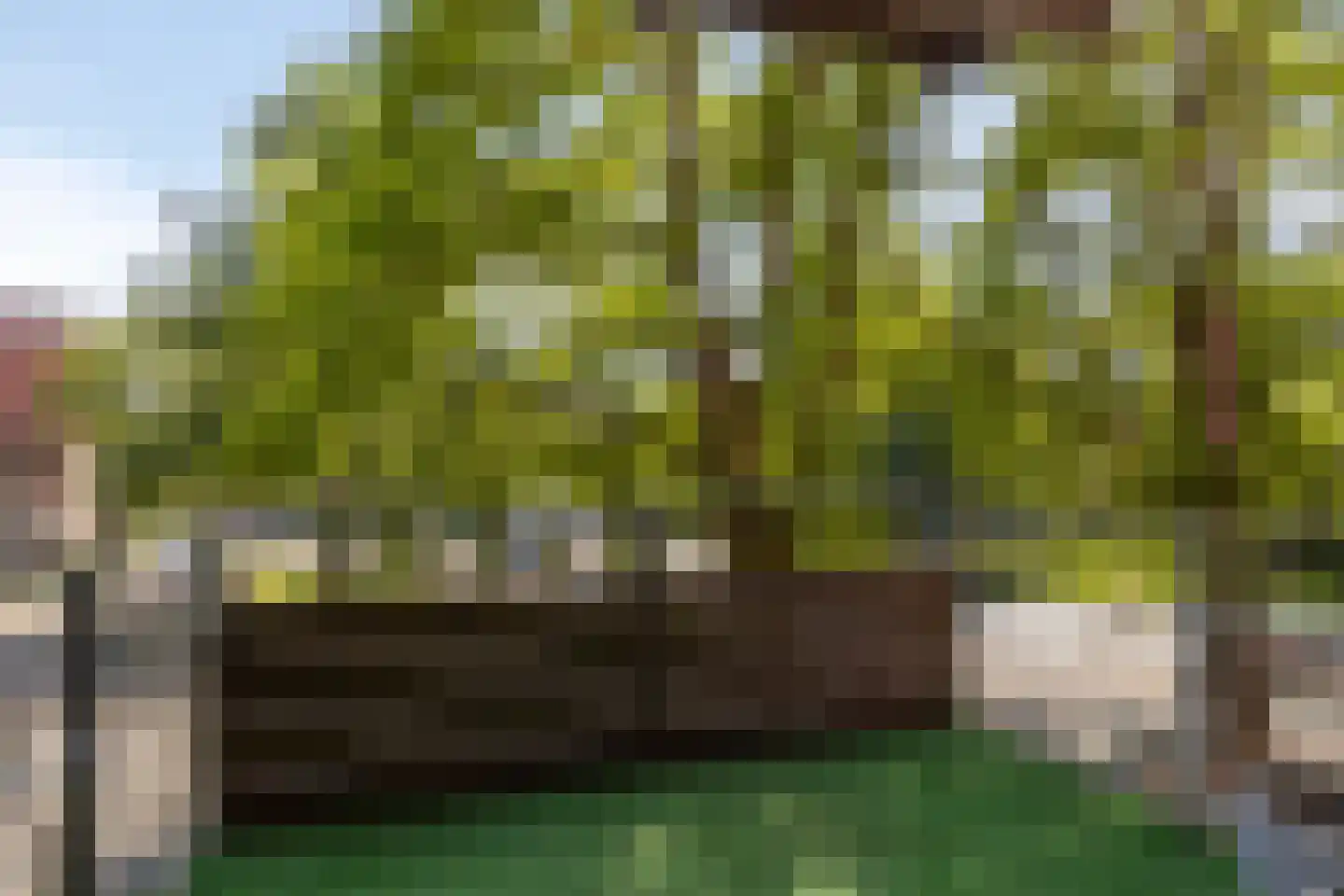 Oostsingel 2 13 Goes thumbnail 31