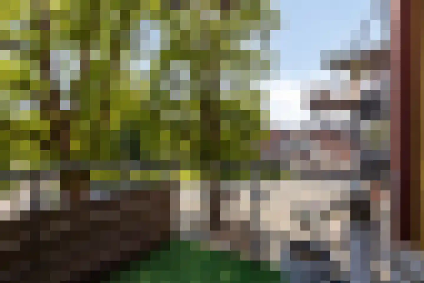 Oostsingel 2 13 Goes thumbnail 32