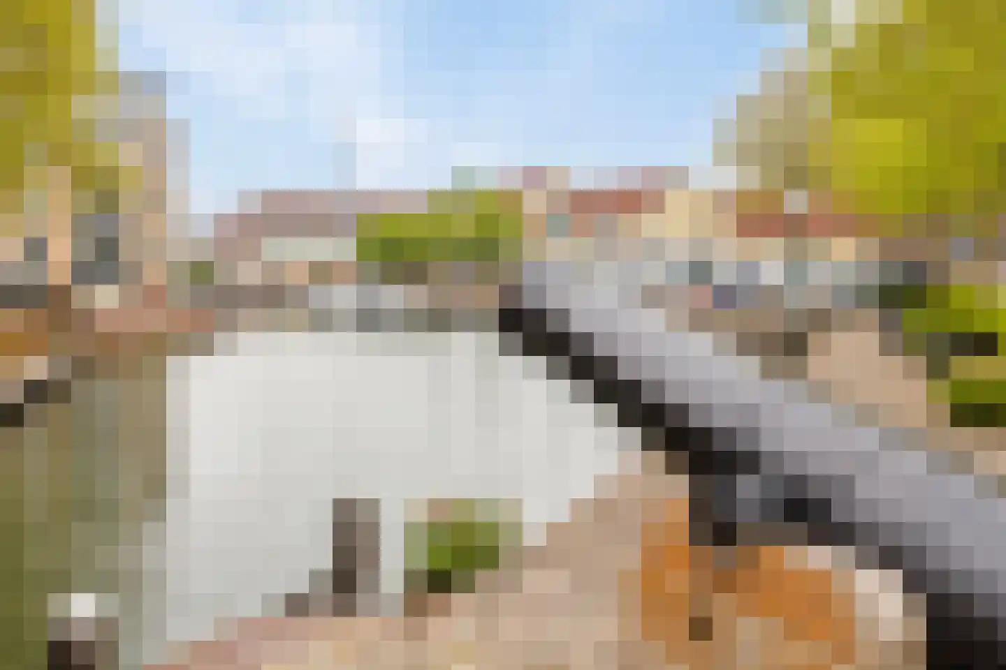 Oostsingel 2 17 Goes thumbnail 26