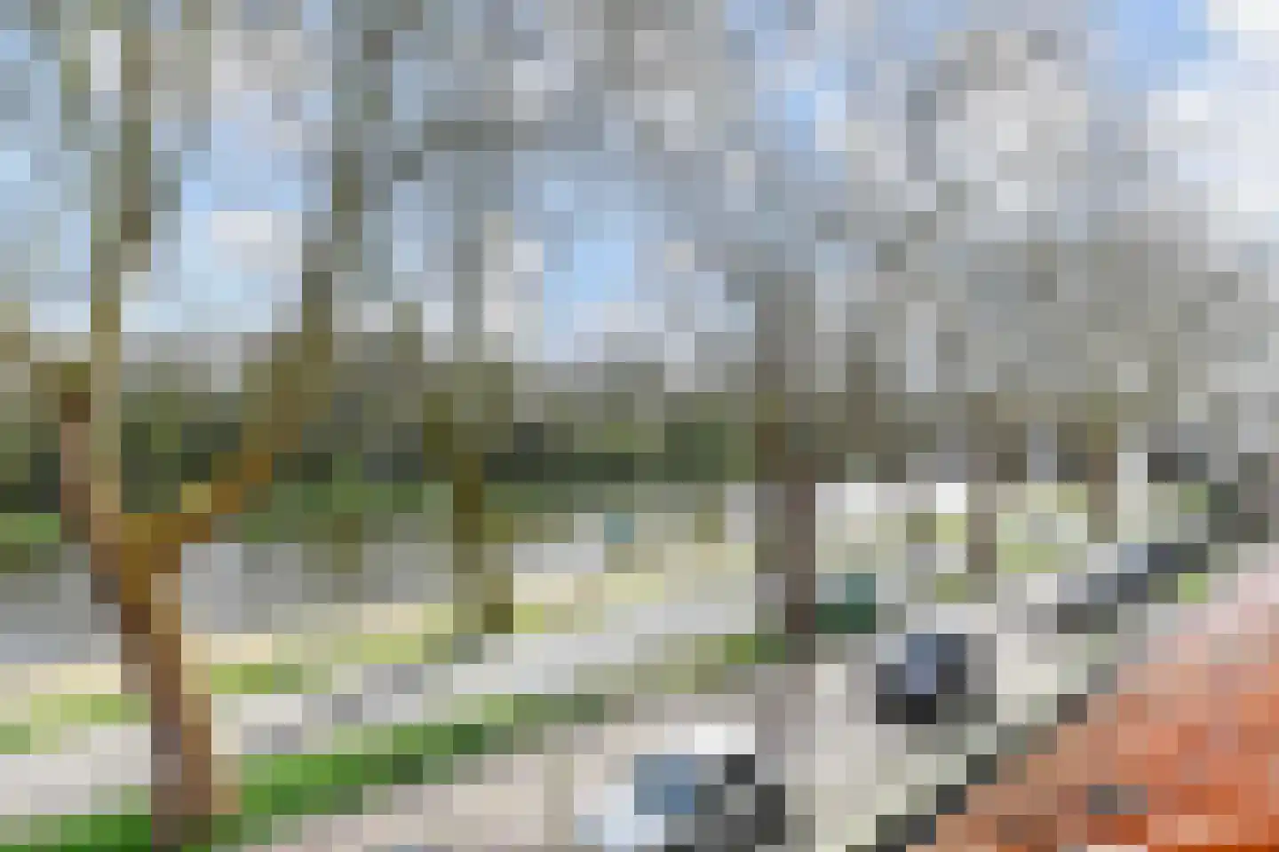 Oostsingel 200 Delft thumbnail 26