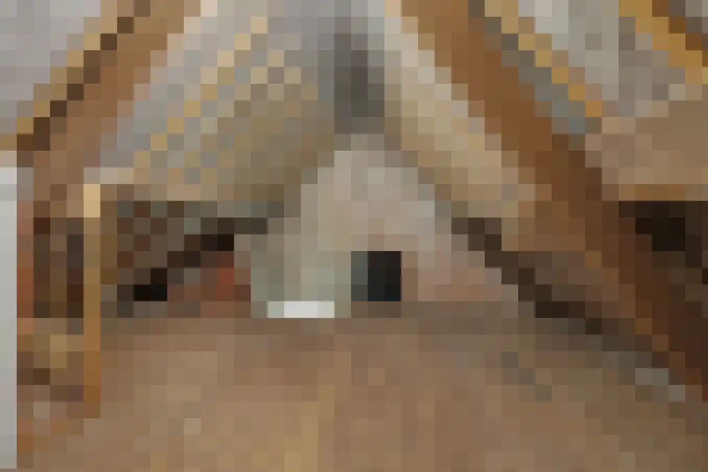 Oostsingel 28 Sint-Maartensdijk thumbnail 34