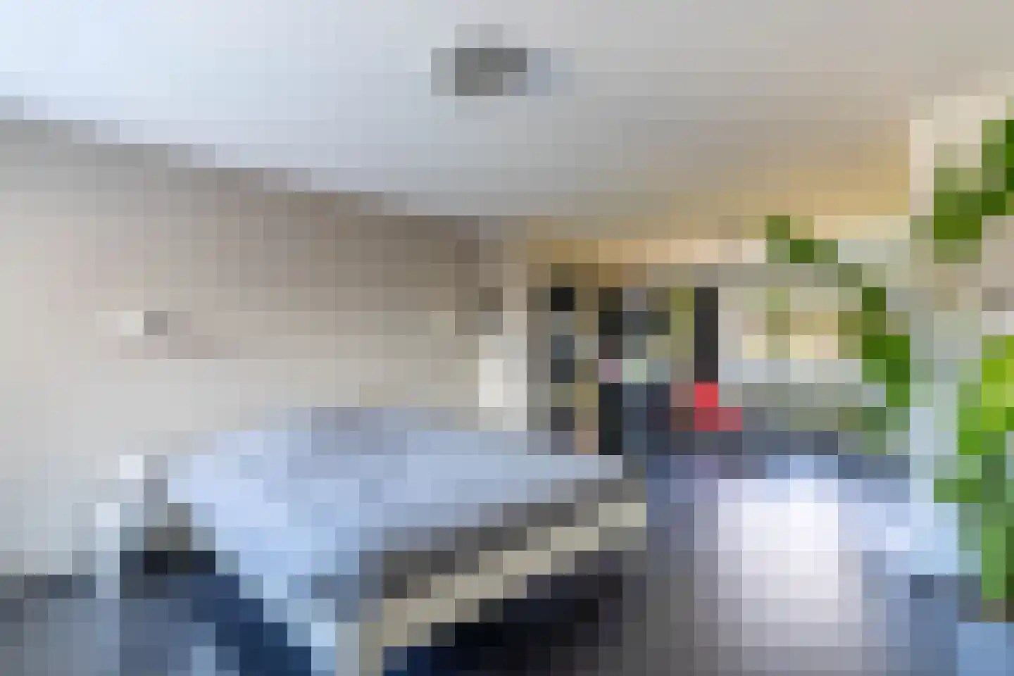 Oostsingel 28 Venray thumbnail 34