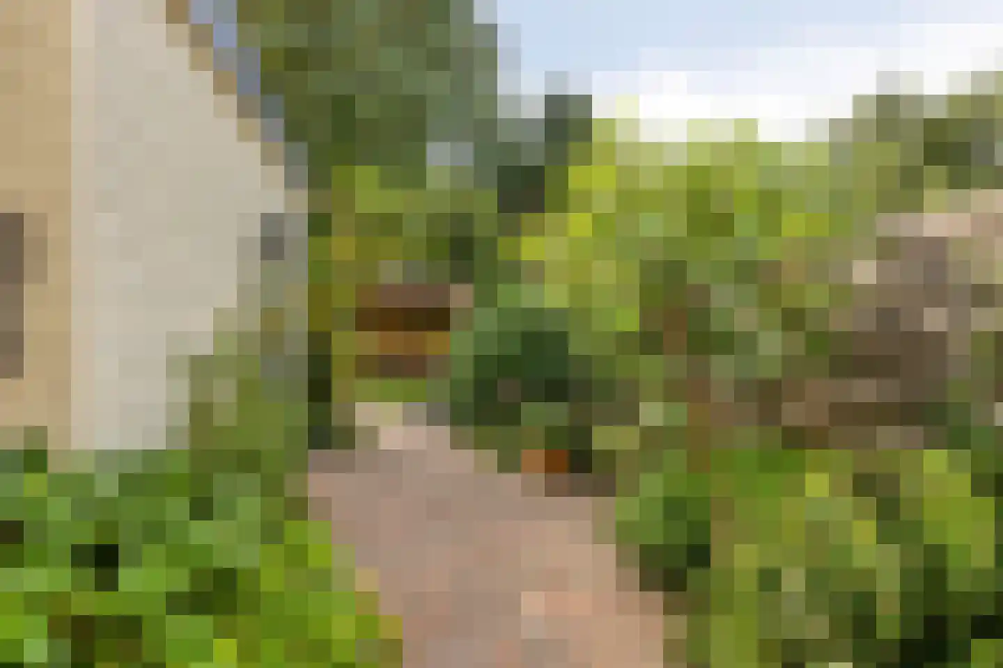 Oostsingel 34 Schiedam thumbnail 31