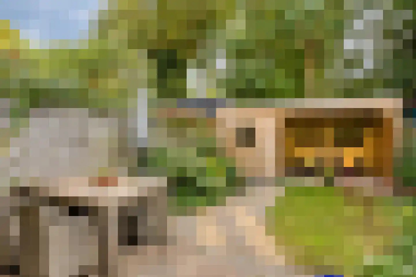 Oostsingel 34 Schiedam thumbnail 33