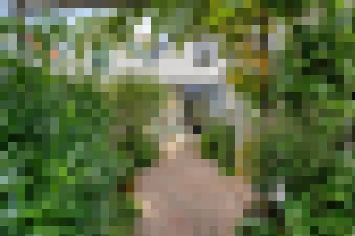 Oostsingel 34 Schiedam thumbnail 36