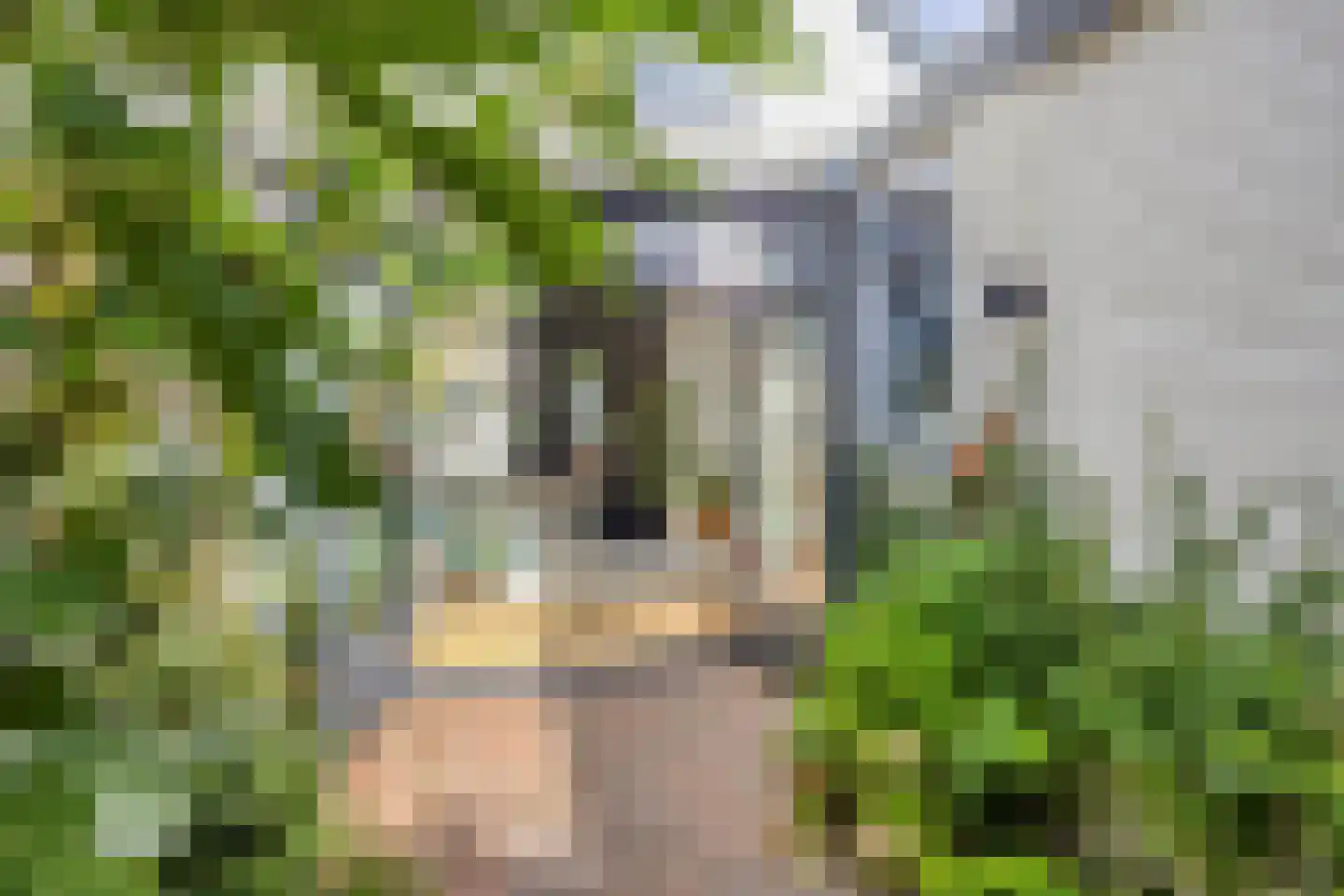 Oostsingel 34 Schiedam thumbnail 37