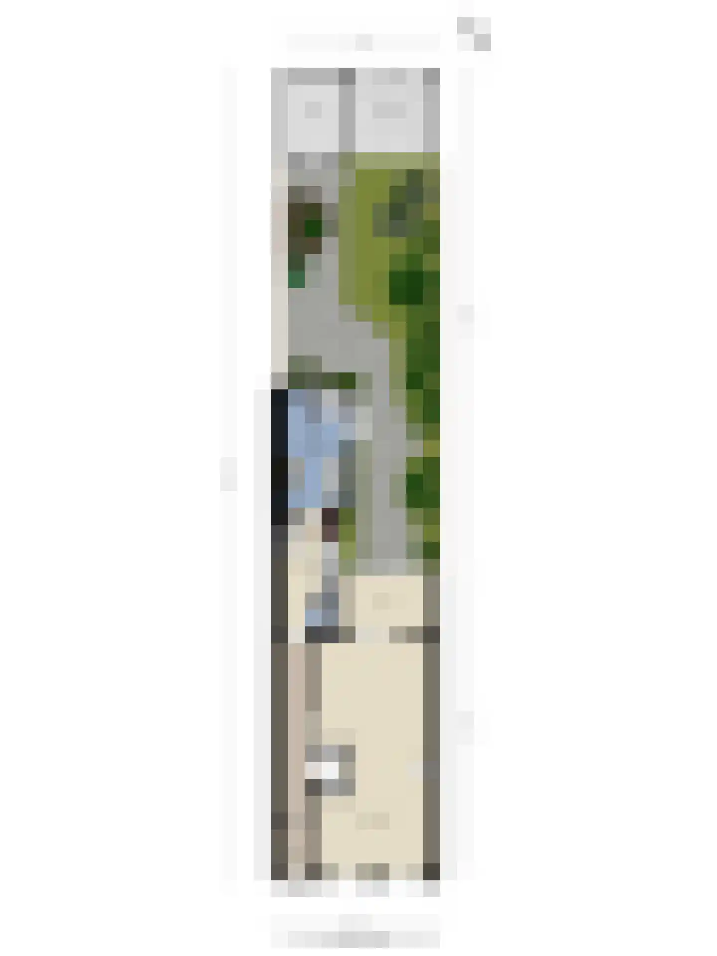 Oostsingel 34 Schiedam thumbnail 39
