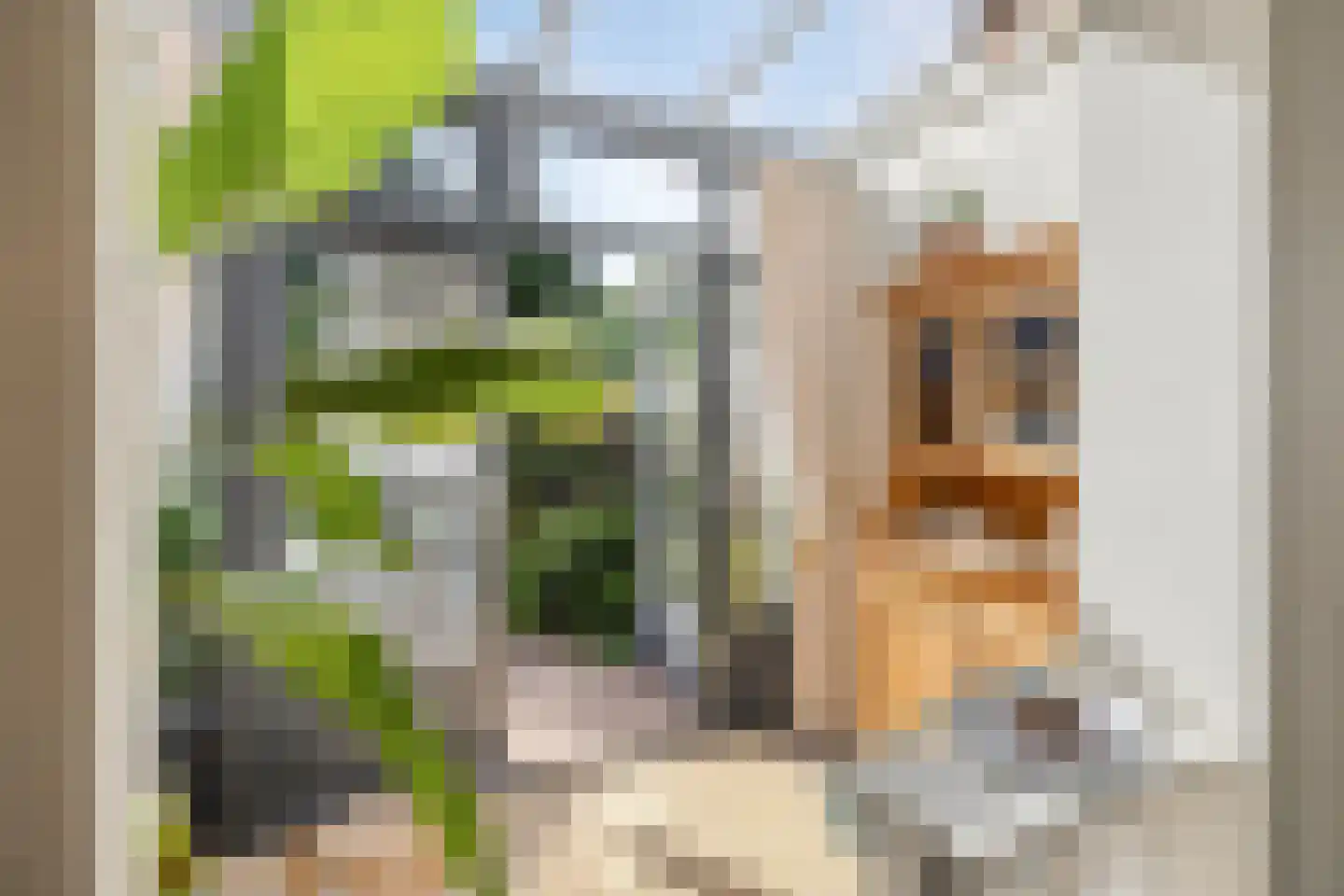 Oostsingel 34 Schiedam thumbnail 4