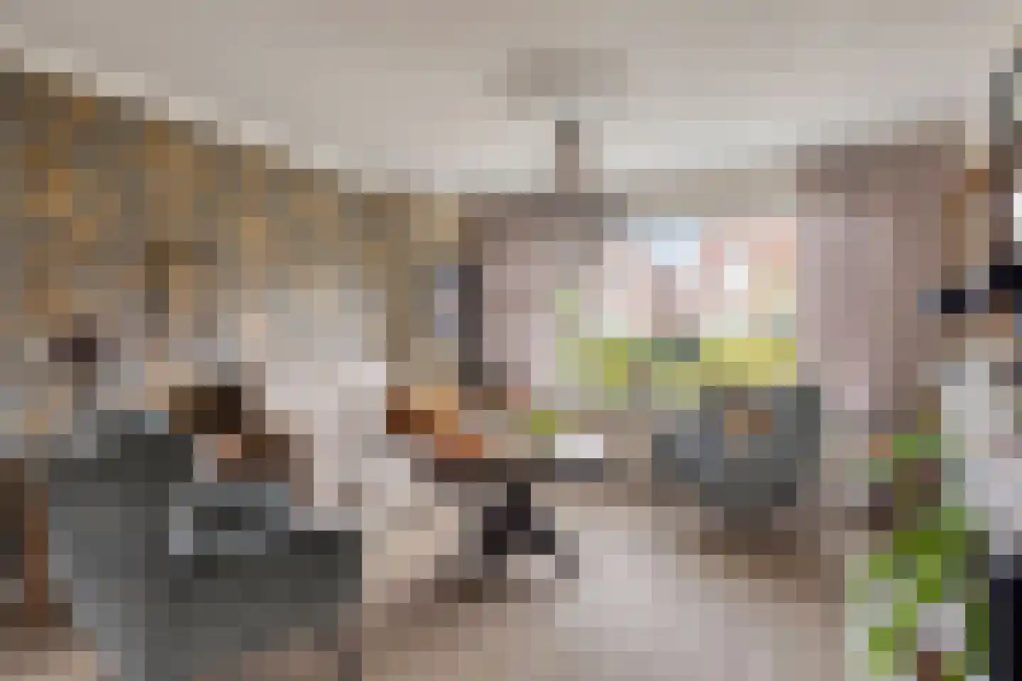 Oostsingel 34 Sint-Maartensdijk thumbnail 12