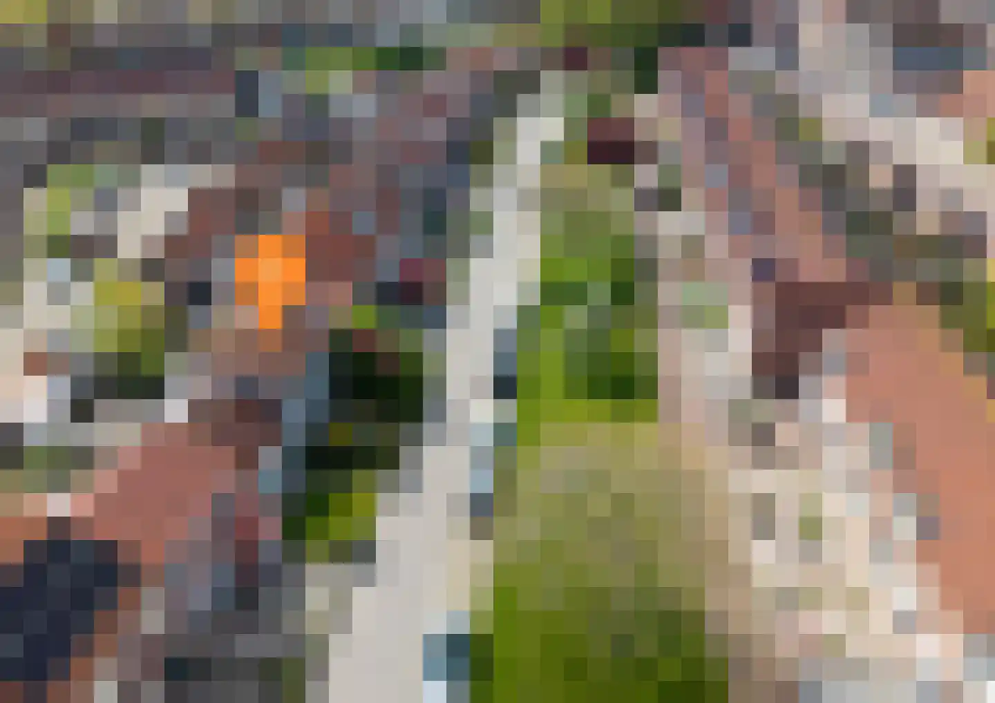 Oostsingel 34 Sint-Maartensdijk thumbnail 4