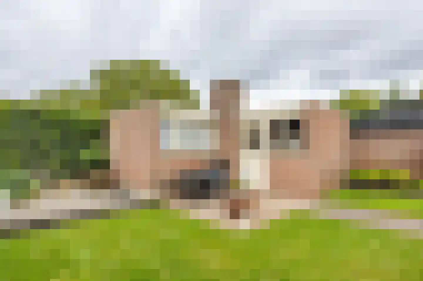 Oostsingel 38 Venray thumbnail 31