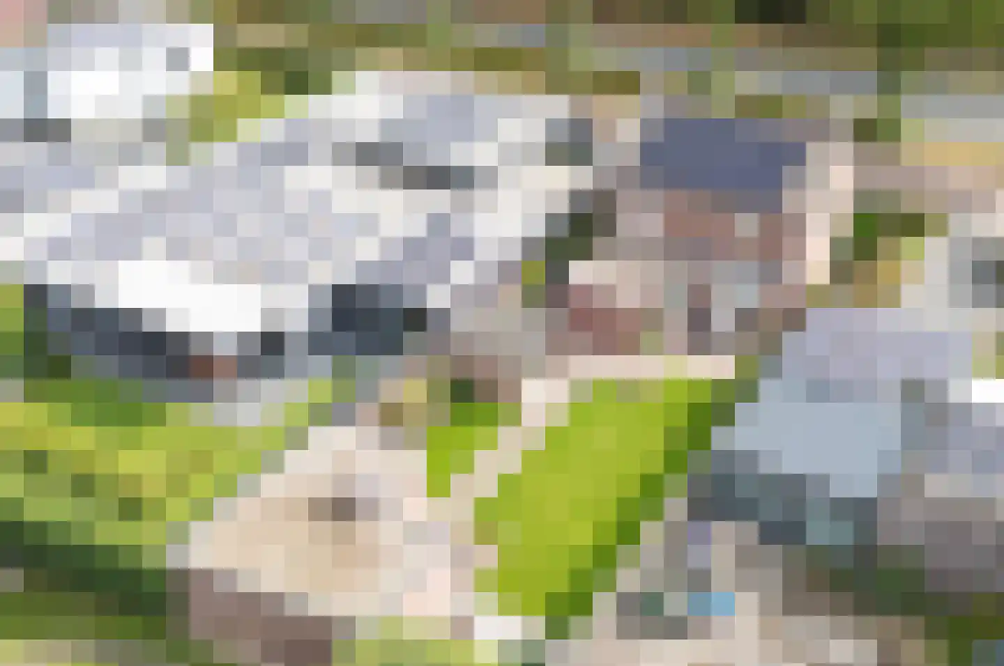 Oostsingel 38 Venray thumbnail 33