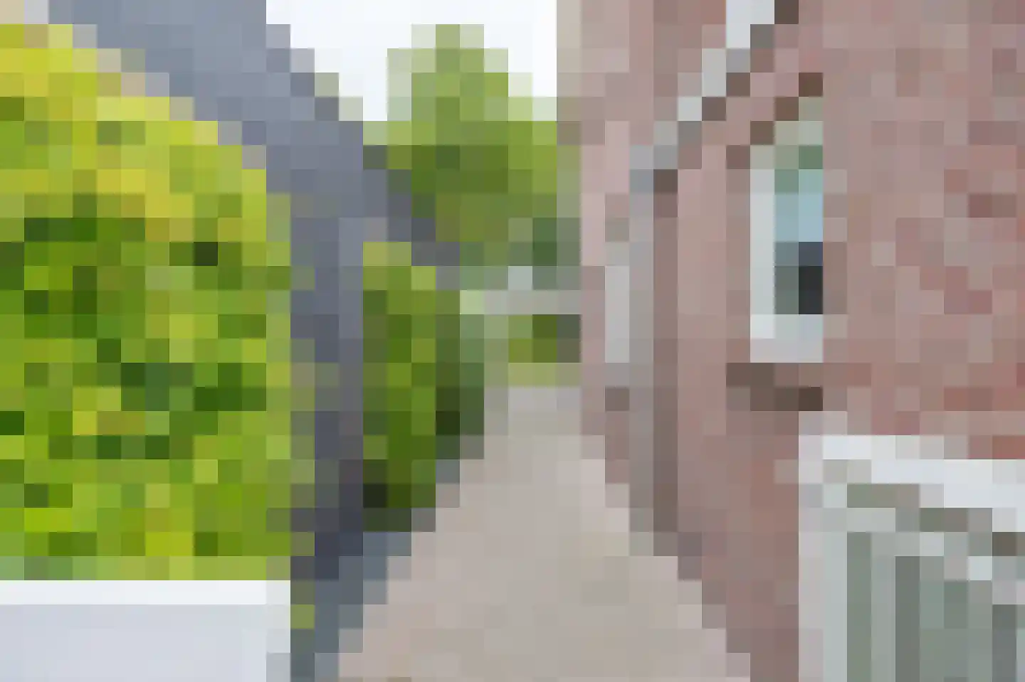 Oostsingel 38 Venray thumbnail 36