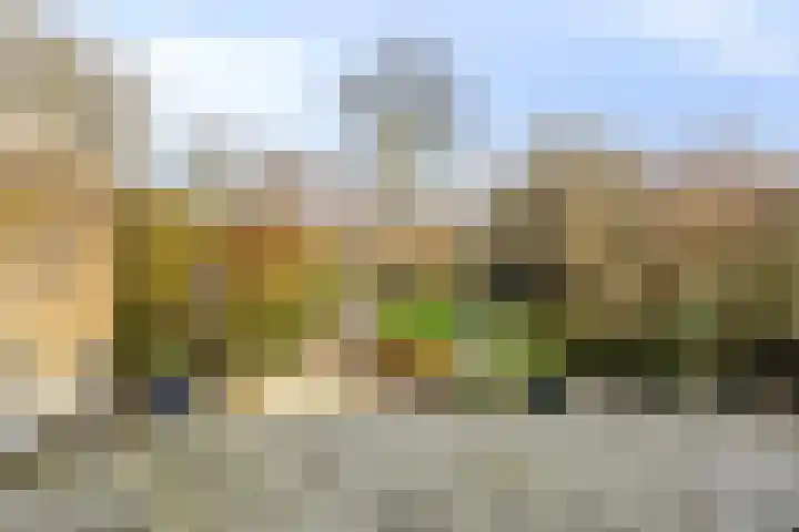 Oostsingel 39 Schiedam thumbnail 30