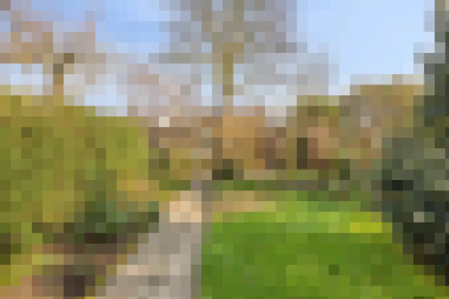Oostsingel 39 Schiedam thumbnail 33