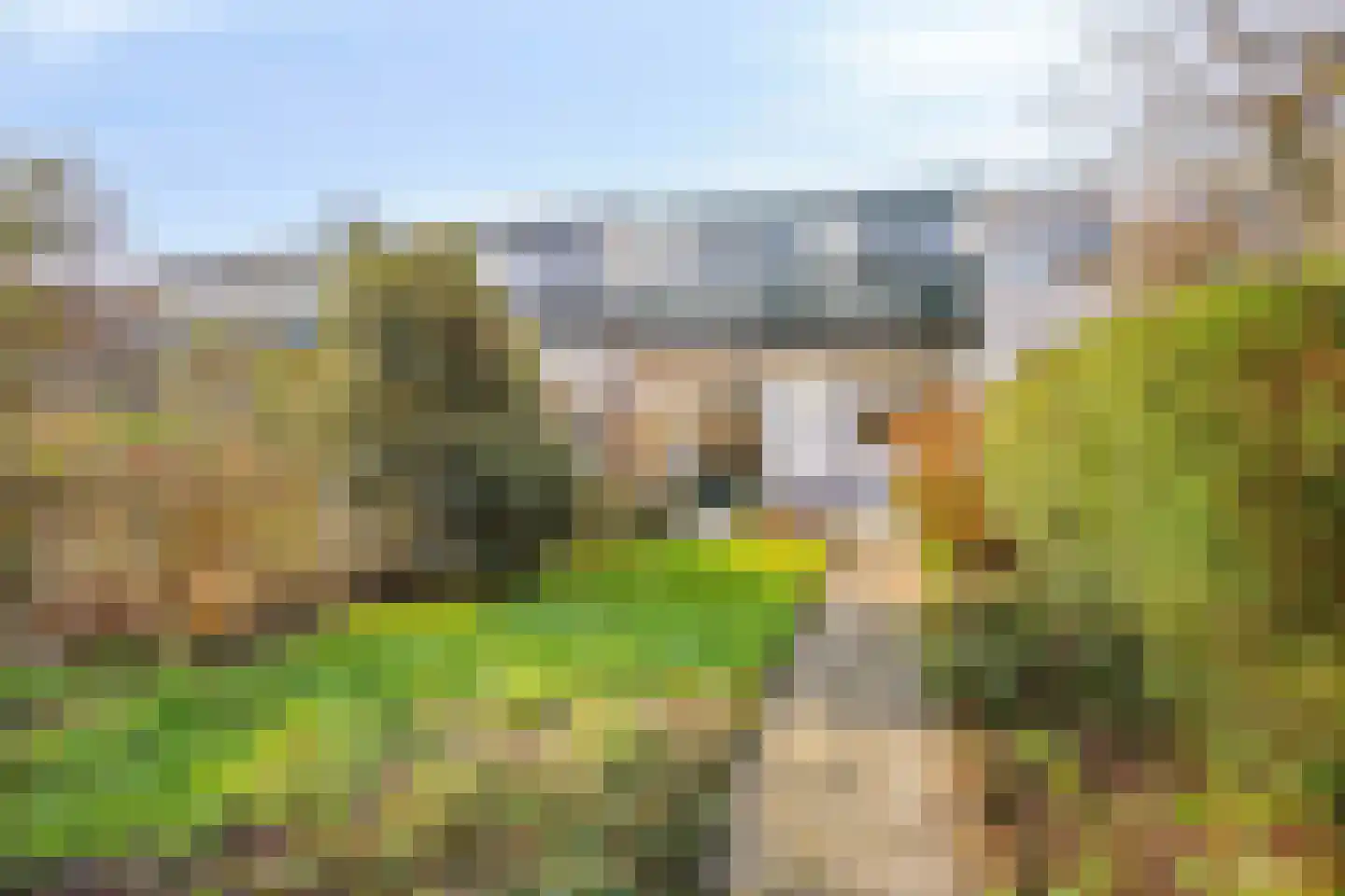 Oostsingel 39 Schiedam thumbnail 34