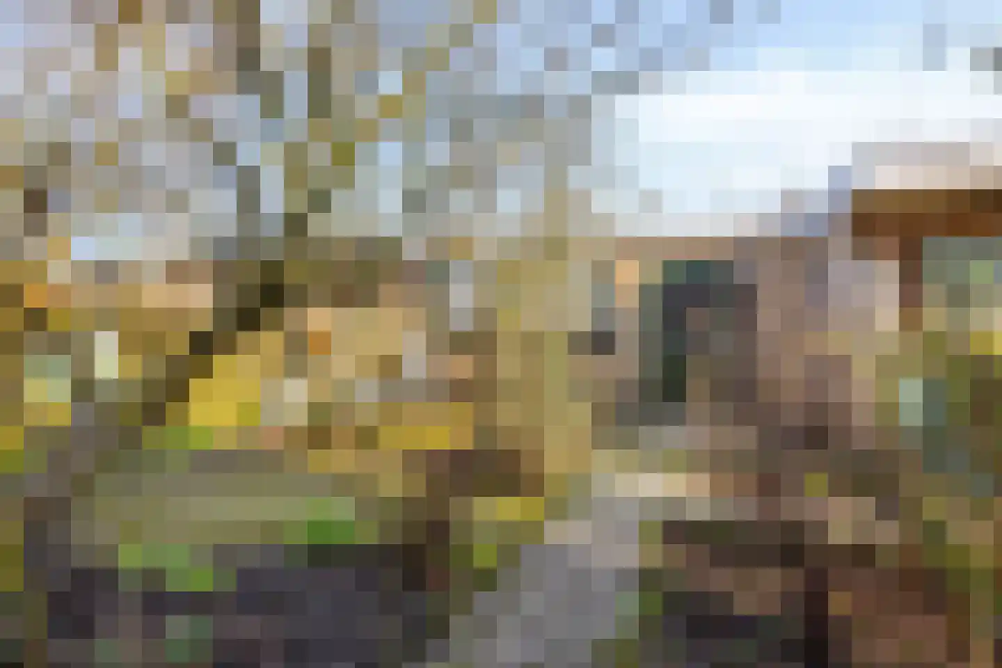 Oostsingel 39 Schiedam thumbnail 36