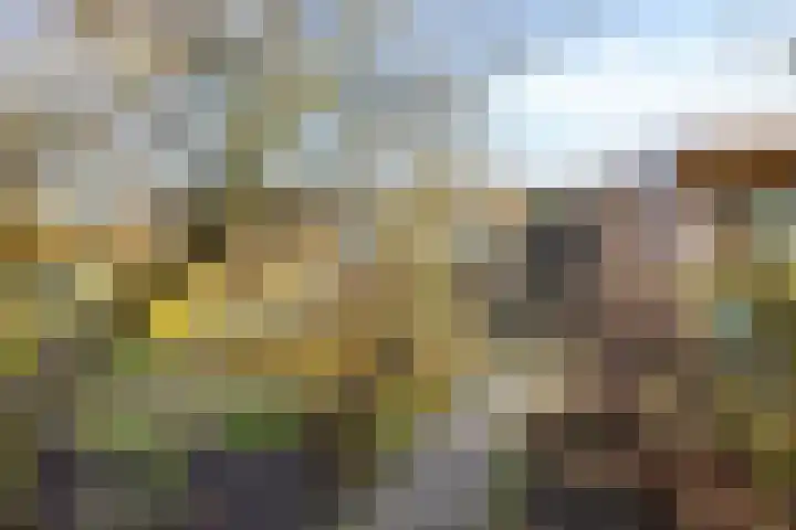 Oostsingel 39 Schiedam thumbnail 36