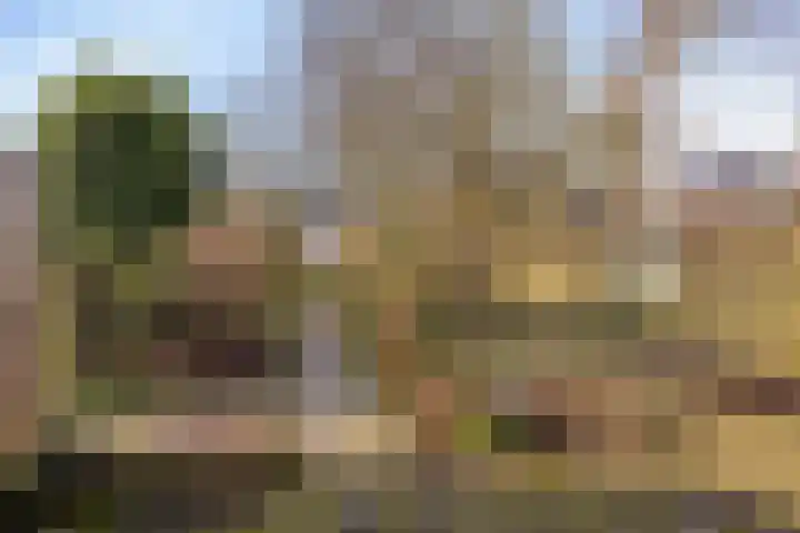 Oostsingel 39 Schiedam thumbnail 37