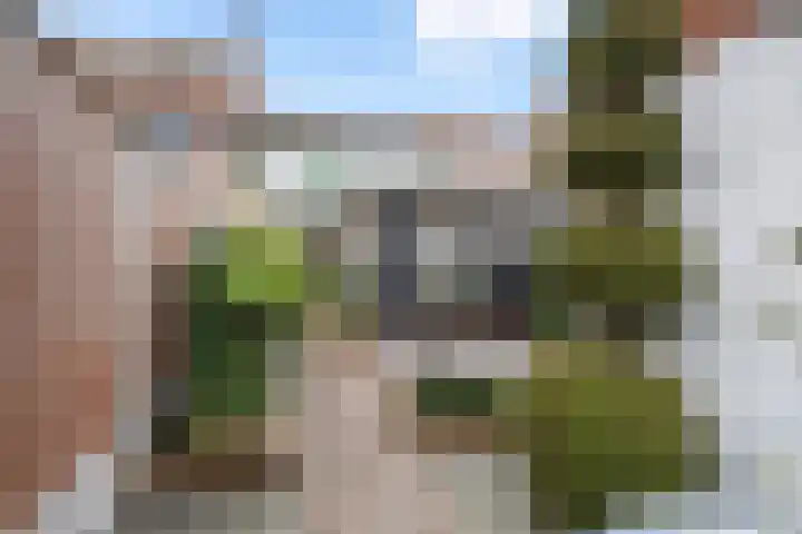 Oostsingel 39 Sint-Maartensdijk thumbnail 29