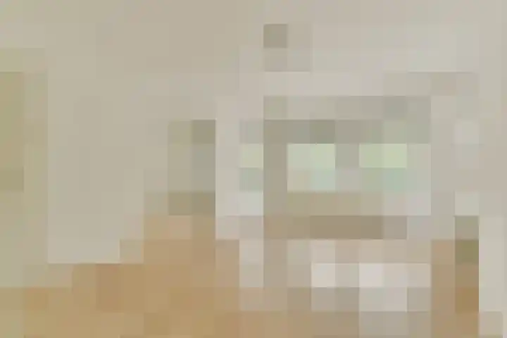 Oostsingel 4 Delft thumbnail 32