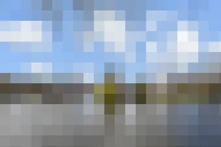 Oostsingel 4 Delft thumbnail 44