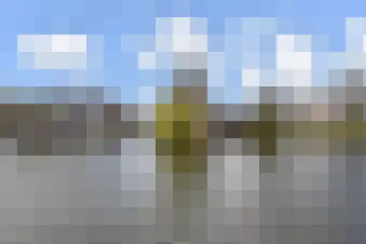Oostsingel 4 Delft thumbnail 5