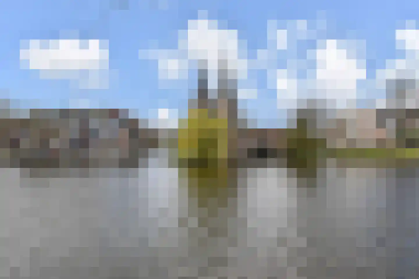 Oostsingel 4 Delft thumbnail 5