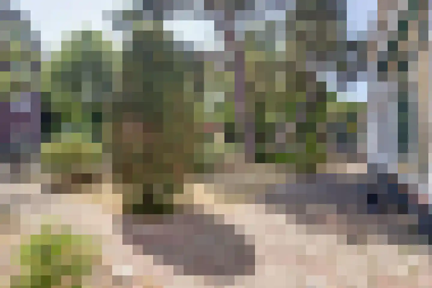 Oostsingel 52 Goes thumbnail 20