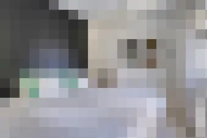Oostsingel 54 Schiedam thumbnail 34