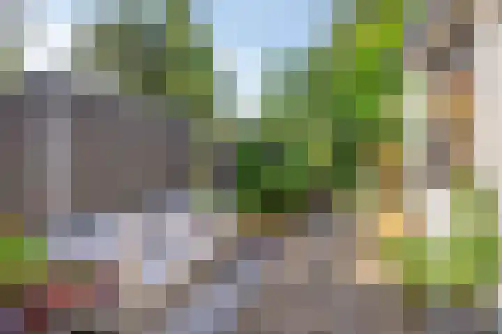 Oostsingel 54 Schiedam thumbnail 40