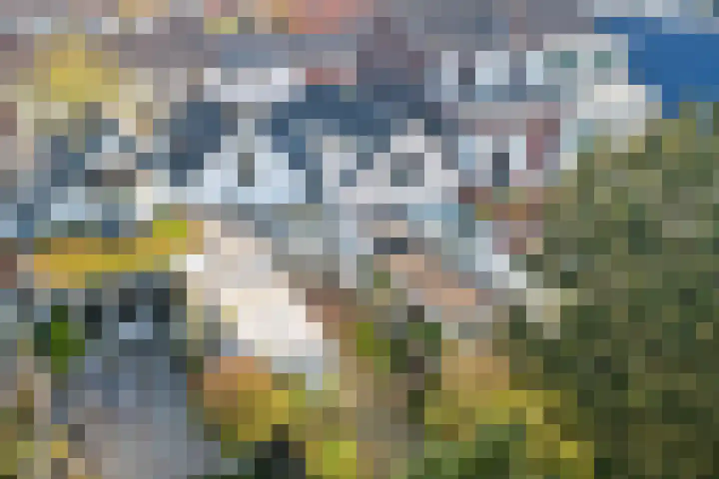 Oostsingel 58 Schiedam thumbnail 41