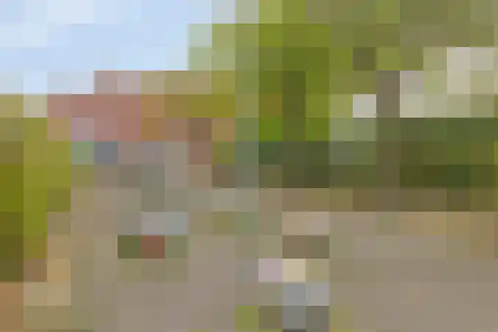 Oostsingel 59 Schiedam thumbnail 18