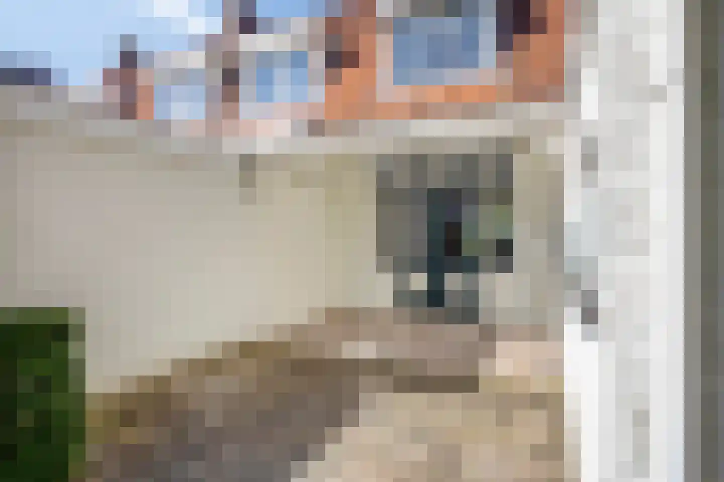Oostsingel 60 A Goes thumbnail 21