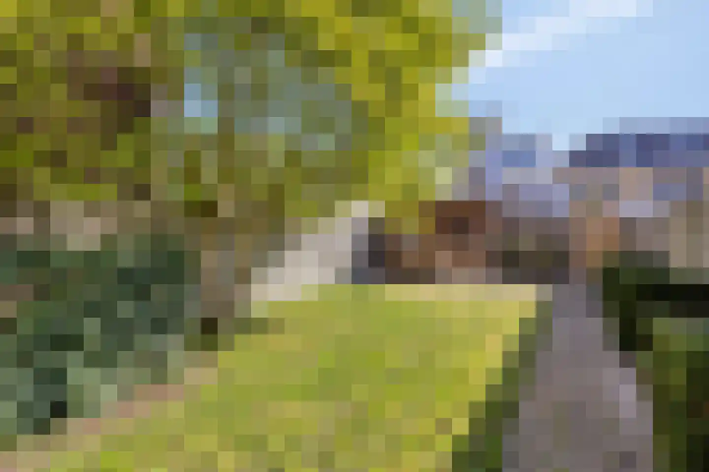 Oostsingel 60 A Goes thumbnail 23