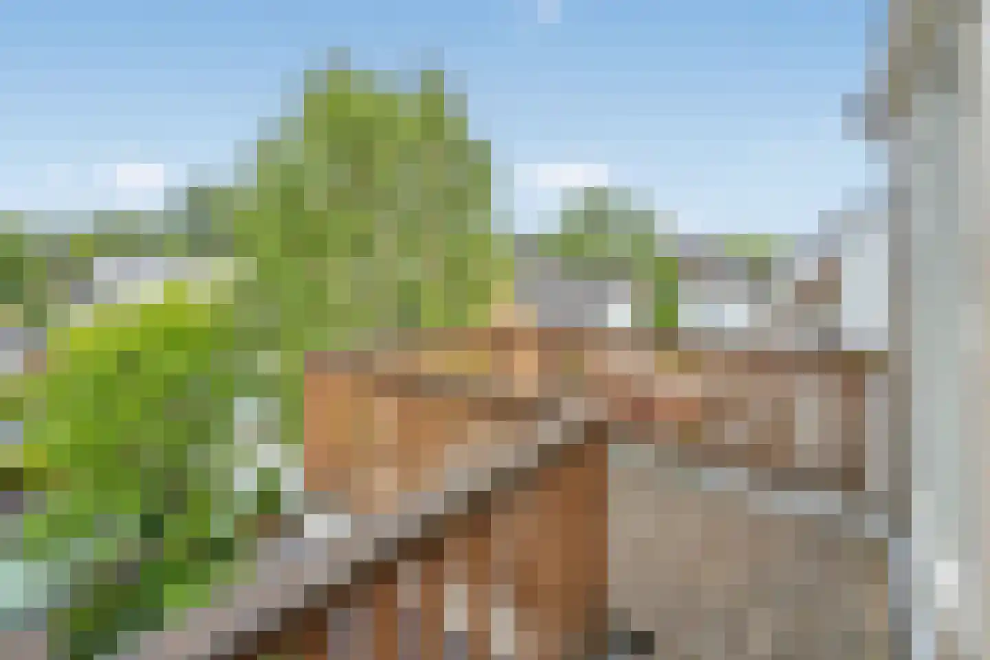 Oostsingel 94 Delft thumbnail 37