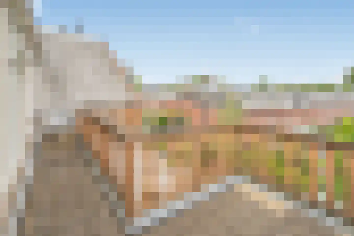 Oostsingel 94 Delft thumbnail 38