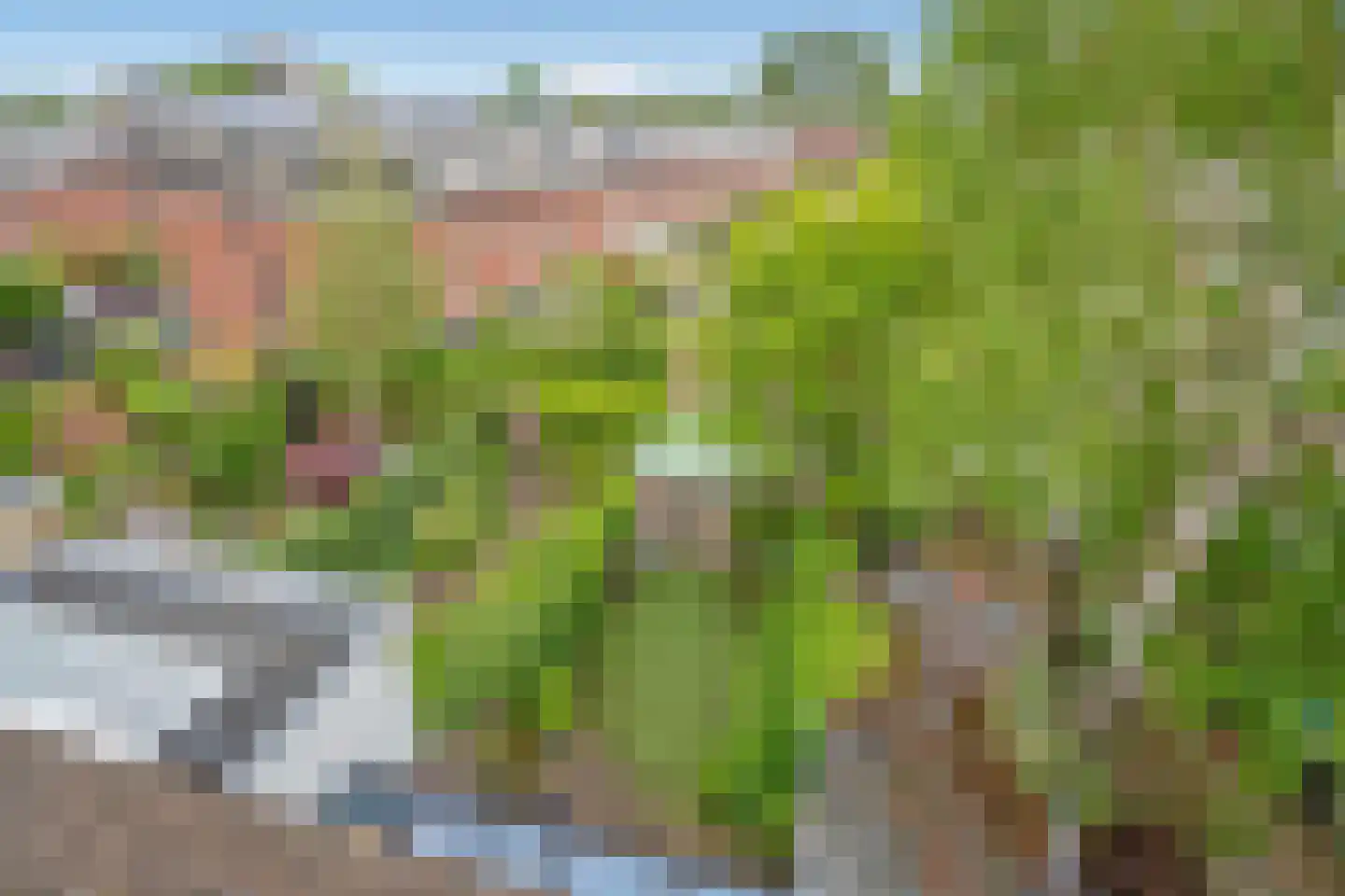 Oostsingel 94 Delft thumbnail 39