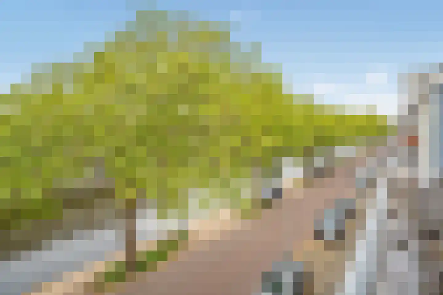 Oostsingel 94 Delft thumbnail 44