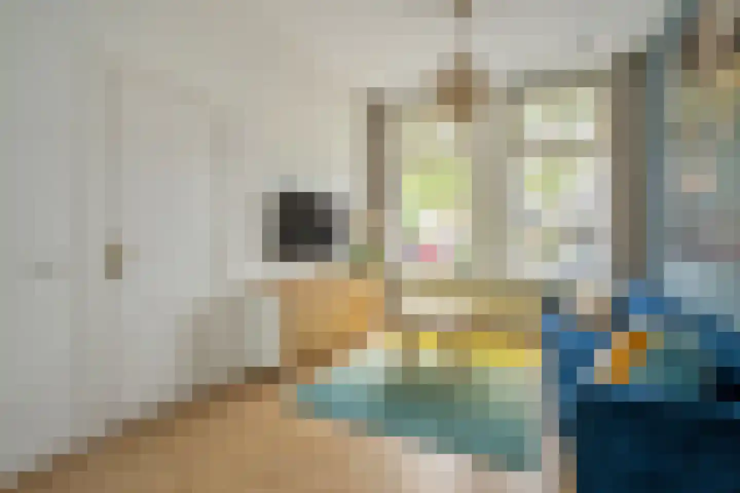 Oostsingel 94 Delft thumbnail 9
