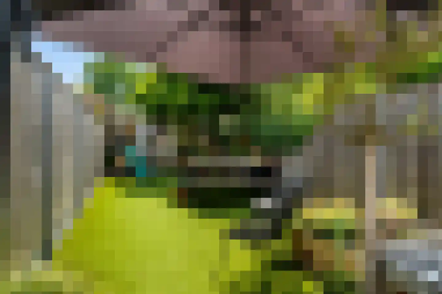 Oostsingel 94 Schiedam thumbnail 4