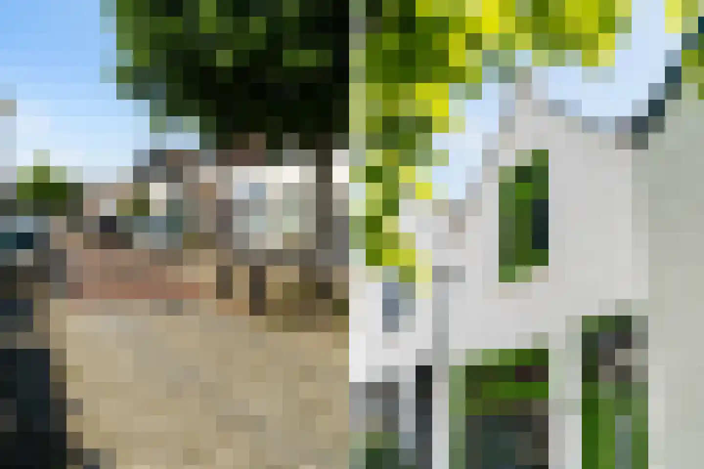 Oostsingel 94 Schiedam thumbnail 56