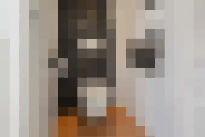 Oostslootstraat 36 Den Helder thumbnail 5
