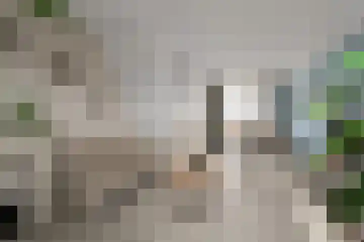Oostslootstraat 8 Den Helder thumbnail 10